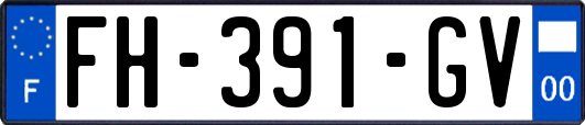 FH-391-GV