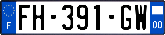FH-391-GW
