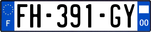 FH-391-GY