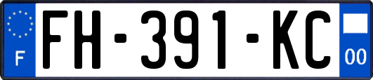 FH-391-KC