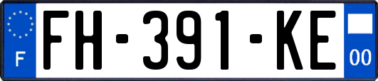 FH-391-KE