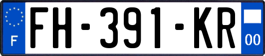 FH-391-KR