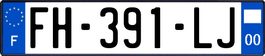 FH-391-LJ