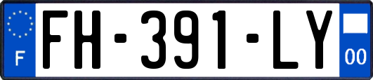 FH-391-LY