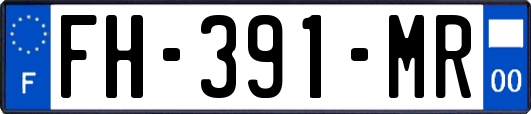 FH-391-MR