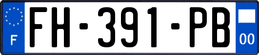 FH-391-PB