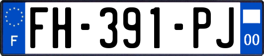 FH-391-PJ