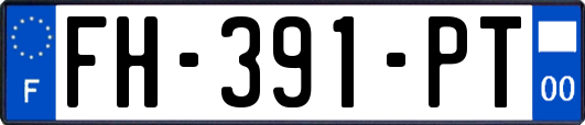 FH-391-PT