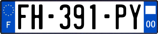 FH-391-PY