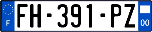 FH-391-PZ