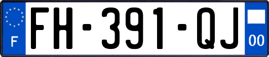 FH-391-QJ