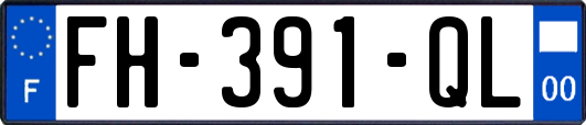 FH-391-QL