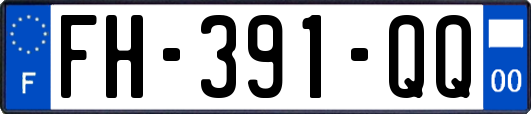 FH-391-QQ