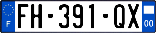 FH-391-QX