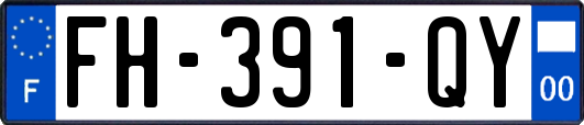 FH-391-QY