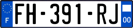 FH-391-RJ