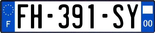 FH-391-SY