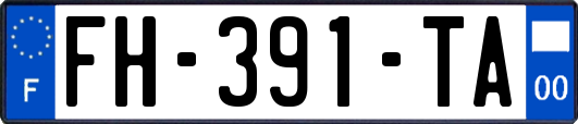 FH-391-TA