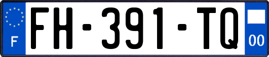 FH-391-TQ