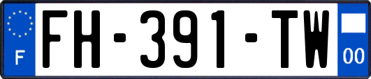 FH-391-TW