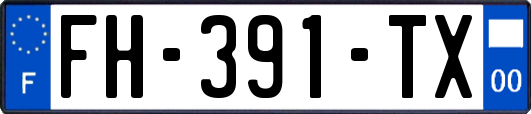 FH-391-TX
