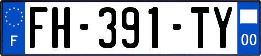 FH-391-TY