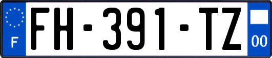 FH-391-TZ