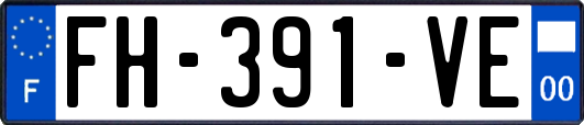 FH-391-VE