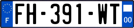 FH-391-WT