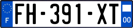 FH-391-XT