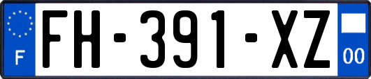 FH-391-XZ