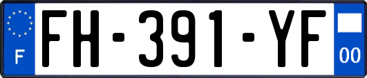 FH-391-YF