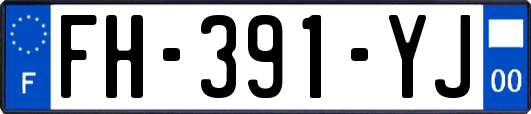 FH-391-YJ