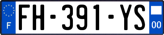 FH-391-YS