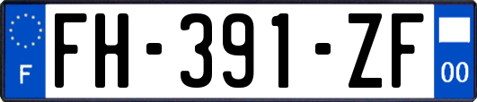 FH-391-ZF