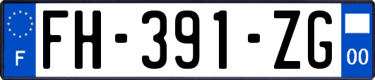 FH-391-ZG