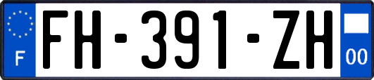 FH-391-ZH