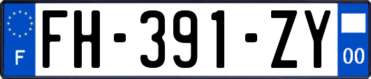 FH-391-ZY