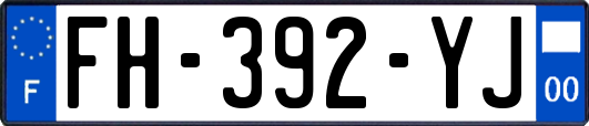 FH-392-YJ