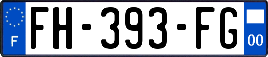 FH-393-FG