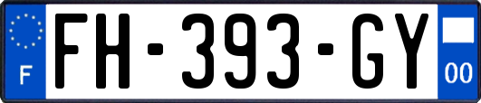 FH-393-GY