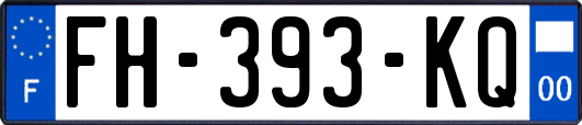 FH-393-KQ