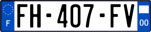 FH-407-FV