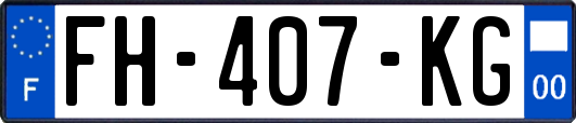 FH-407-KG