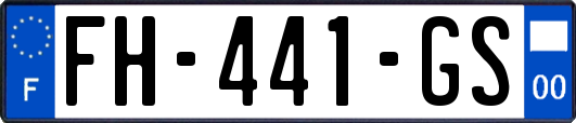 FH-441-GS