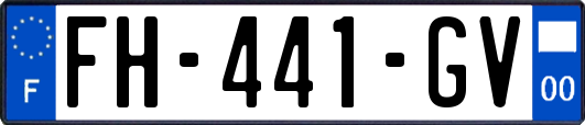 FH-441-GV