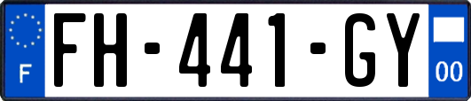 FH-441-GY