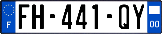 FH-441-QY