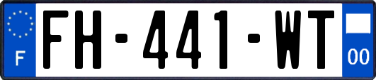 FH-441-WT