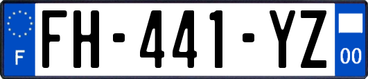 FH-441-YZ